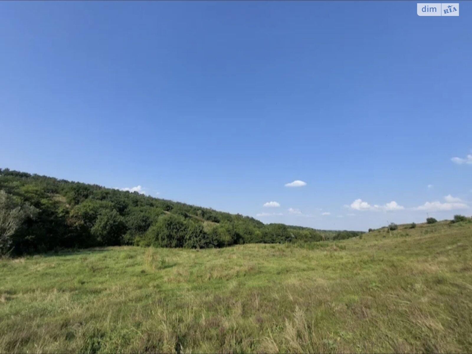 Земельна ділянка під житлову забудову в Кам’яному, площа 20 соток фото 1