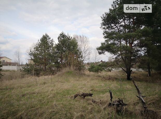 Земля под жилую застройку в Каменском, район Левый берег, площадь 25 соток фото 1 Земля под жилую застройку в Каменском, район Левый берег, площадь 25 соток фото 1