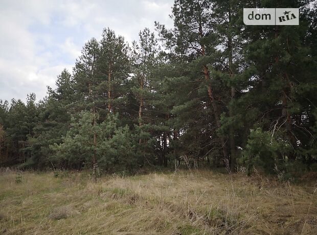 Земля под жилую застройку в Каменском, район Левый берег, площадь 25 соток фото 1 Земля под жилую застройку в Каменском, район Левый берег, площадь 25 соток фото 1