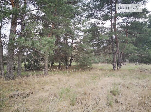 Земля под жилую застройку в Каменском, район Левый берег, площадь 25 соток фото 1 Земля под жилую застройку в Каменском, район Левый берег, площадь 25 соток фото 1