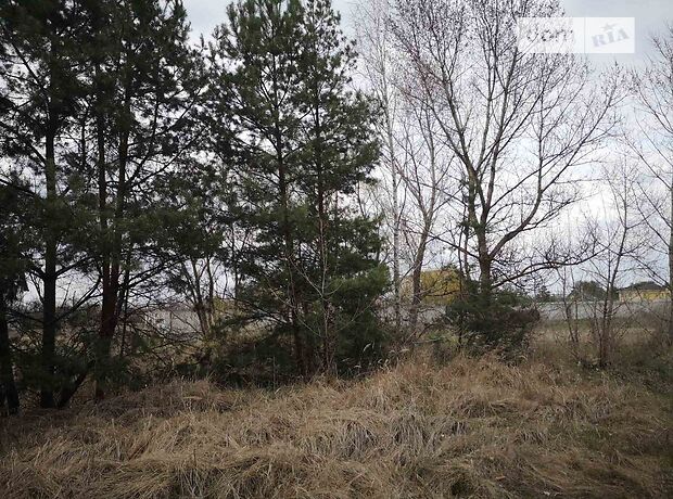Земля под жилую застройку в Каменском, район Левый берег, площадь 25 соток фото 1 Земля под жилую застройку в Каменском, район Левый берег, площадь 25 соток фото 1