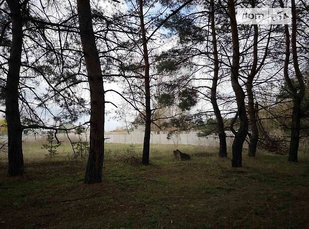 Земля под жилую застройку в Каменском, район Левый берег, площадь 25 соток фото 1 Земля под жилую застройку в Каменском, район Левый берег, площадь 25 соток фото 1