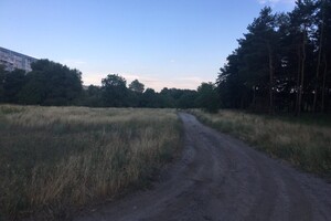 Земельный участок под жилую застройку в Каменском, площадь 2 Га фото 2