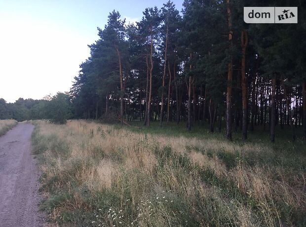 Земельный участок под жилую застройку в Каменском, площадь 2 Га фото 1 Земельный участок под жилую застройку в Каменском, площадь 2 Га фото 1
