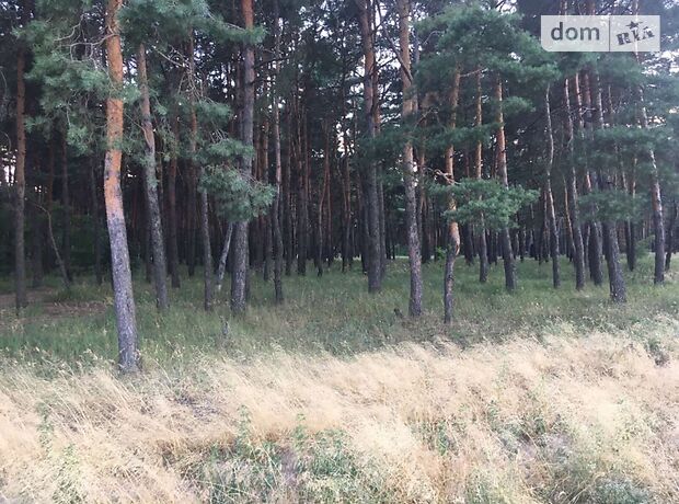 Земельный участок под жилую застройку в Каменском, площадь 2 Га фото 1 Земельный участок под жилую застройку в Каменском, площадь 2 Га фото 1