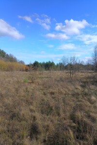 Земельный участок под жилую застройку в Каневе, площадь 10 соток фото 1 Земельный участок под жилую застройку в Каневе, площадь 10 соток фото 1