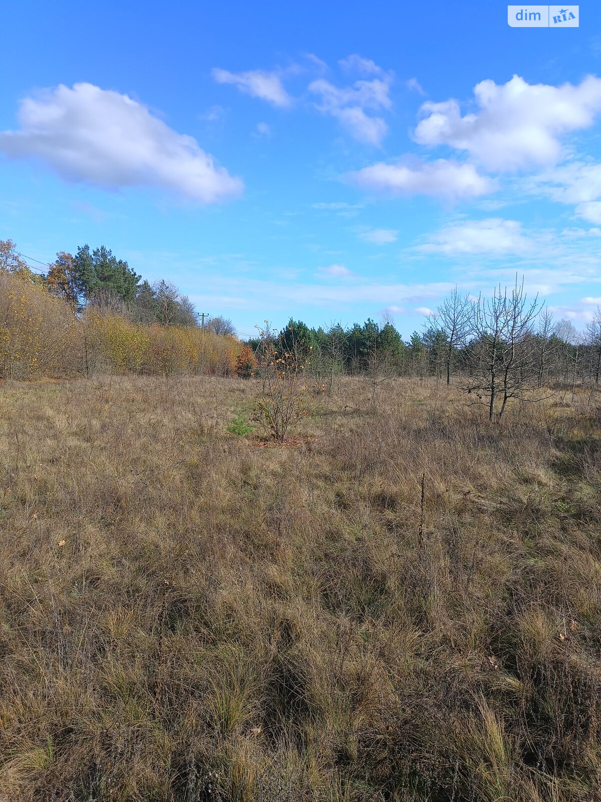 Земельный участок под жилую застройку в Каневе, площадь 10 соток фото 1 Земельный участок под жилую застройку в Каневе, площадь 10 соток фото 1