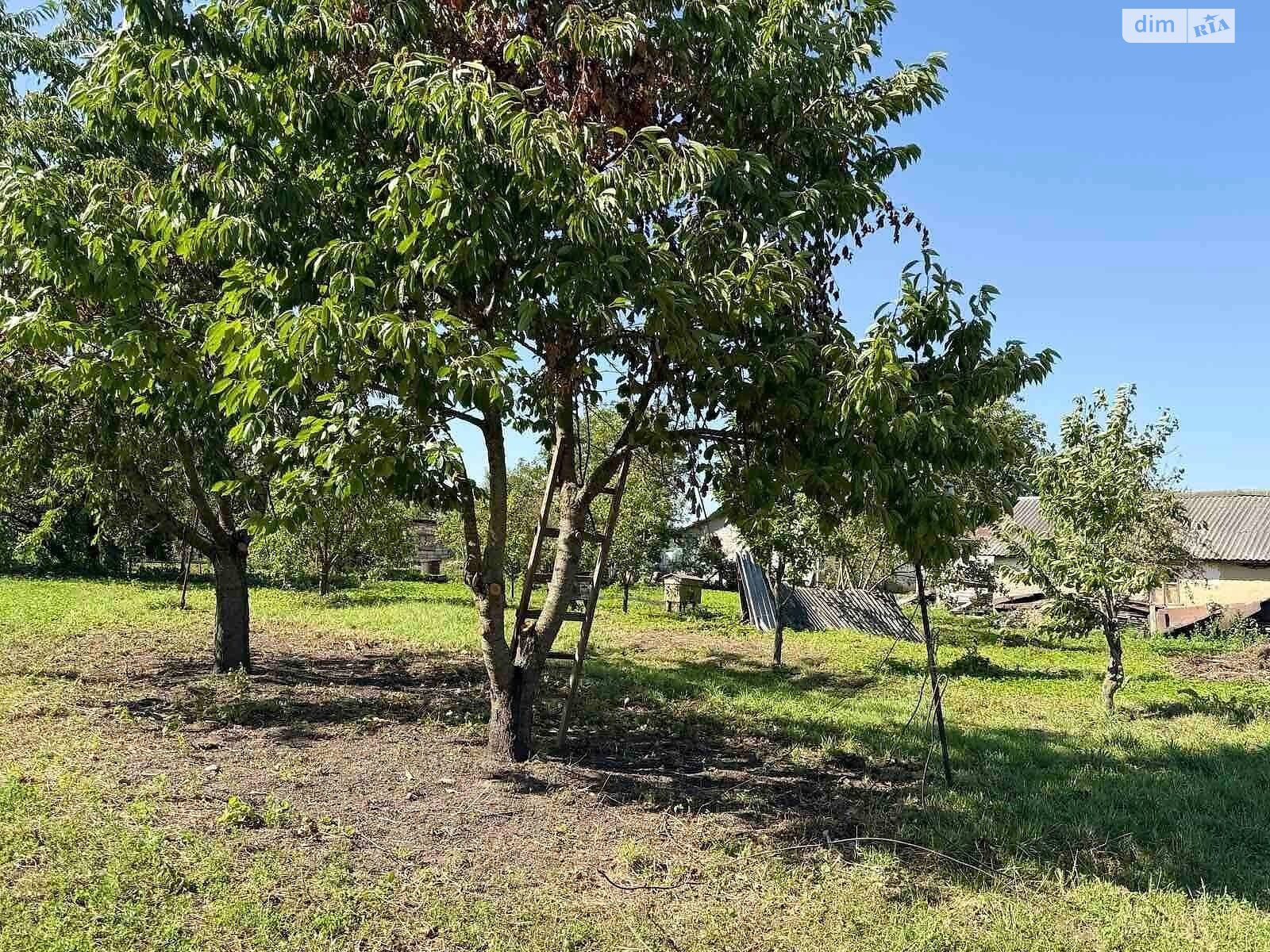 Земельна ділянка під житлову забудову в Капустинцях, площа 34.41 сотки фото 1 Земельна ділянка під житлову забудову в Капустинцях, площа 34.41 сотки фото 1