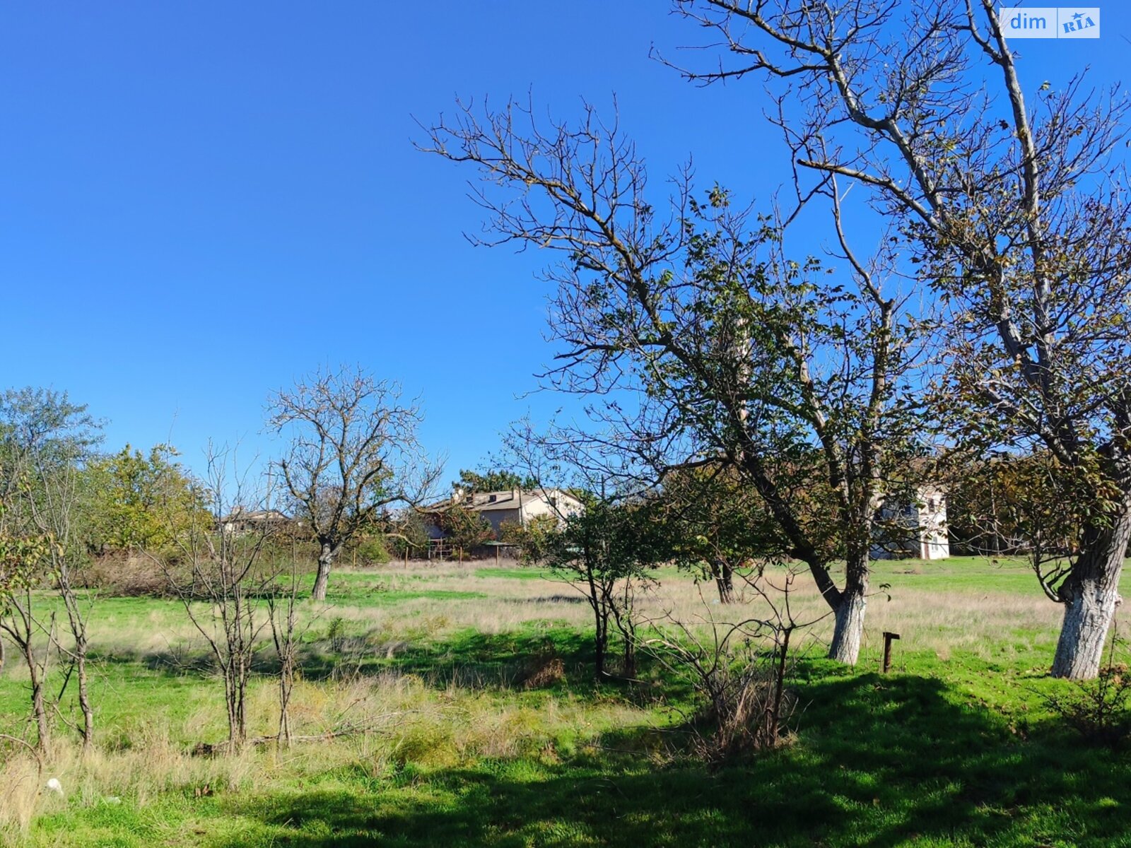 Земельный участок под жилую застройку в Каролине-Бугазе, площадь 25 соток фото 1 Земельный участок под жилую застройку в Каролине-Бугазе, площадь 25 соток фото 1