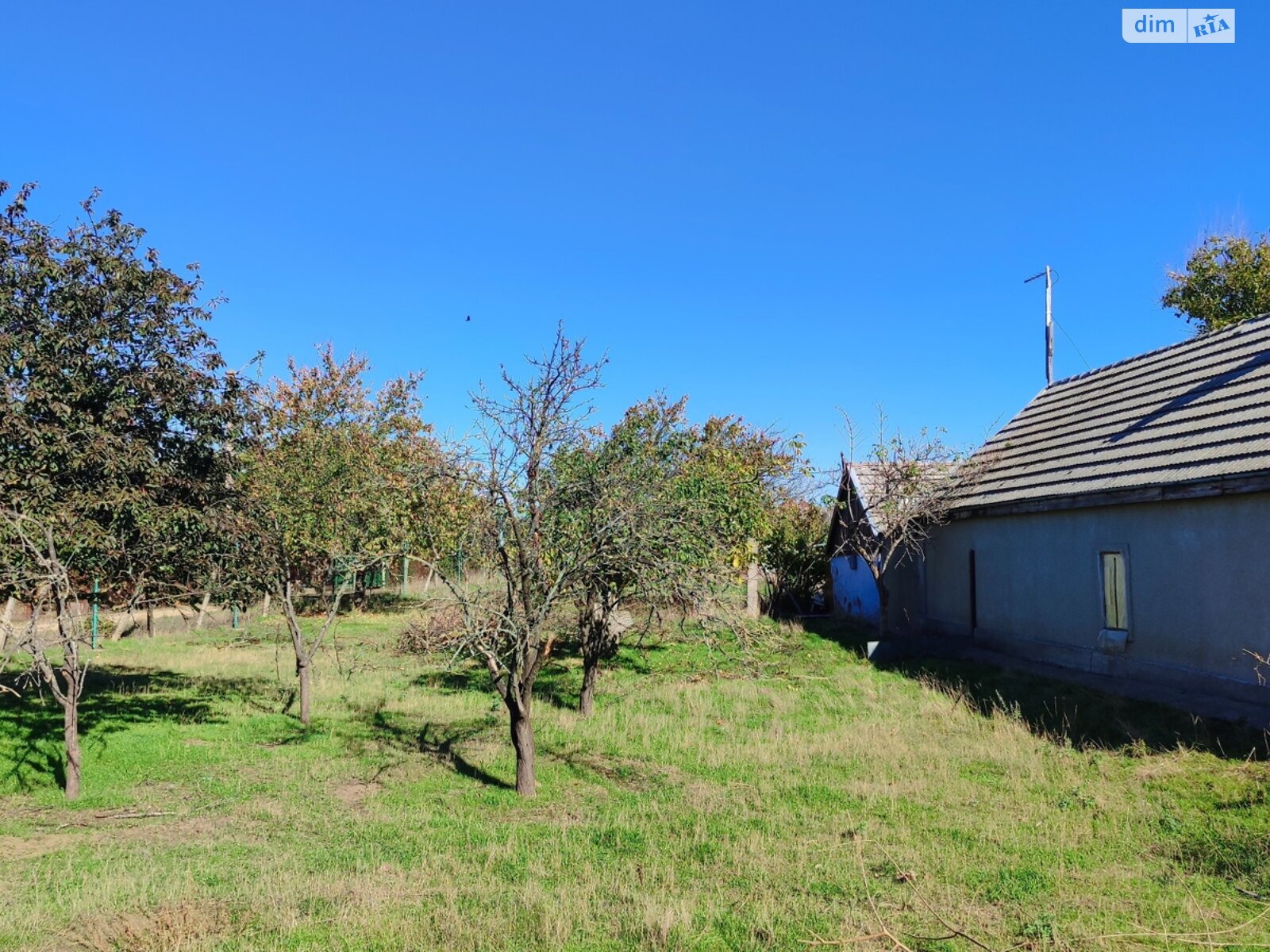 Земельный участок под жилую застройку в Каролине-Бугазе, площадь 25 соток фото 1 Земельный участок под жилую застройку в Каролине-Бугазе, площадь 25 соток фото 1