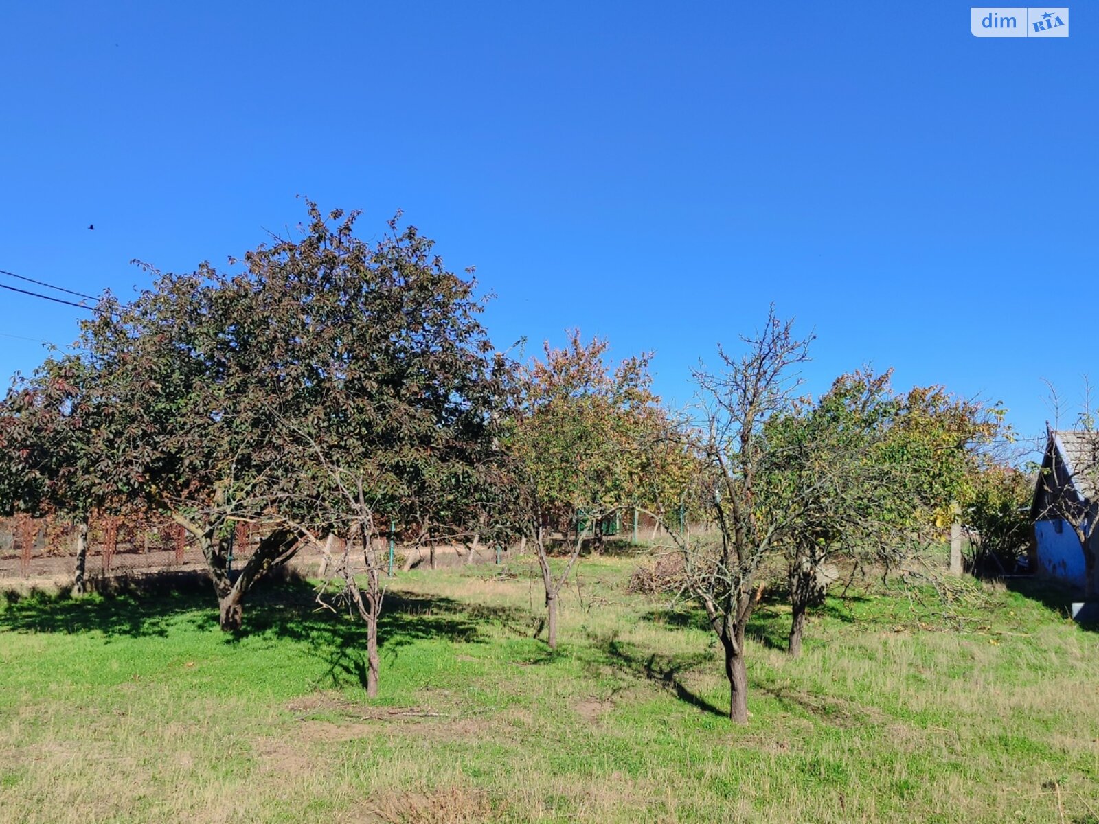 Земельный участок под жилую застройку в Каролине-Бугазе, площадь 25 соток фото 1 Земельный участок под жилую застройку в Каролине-Бугазе, площадь 25 соток фото 1
