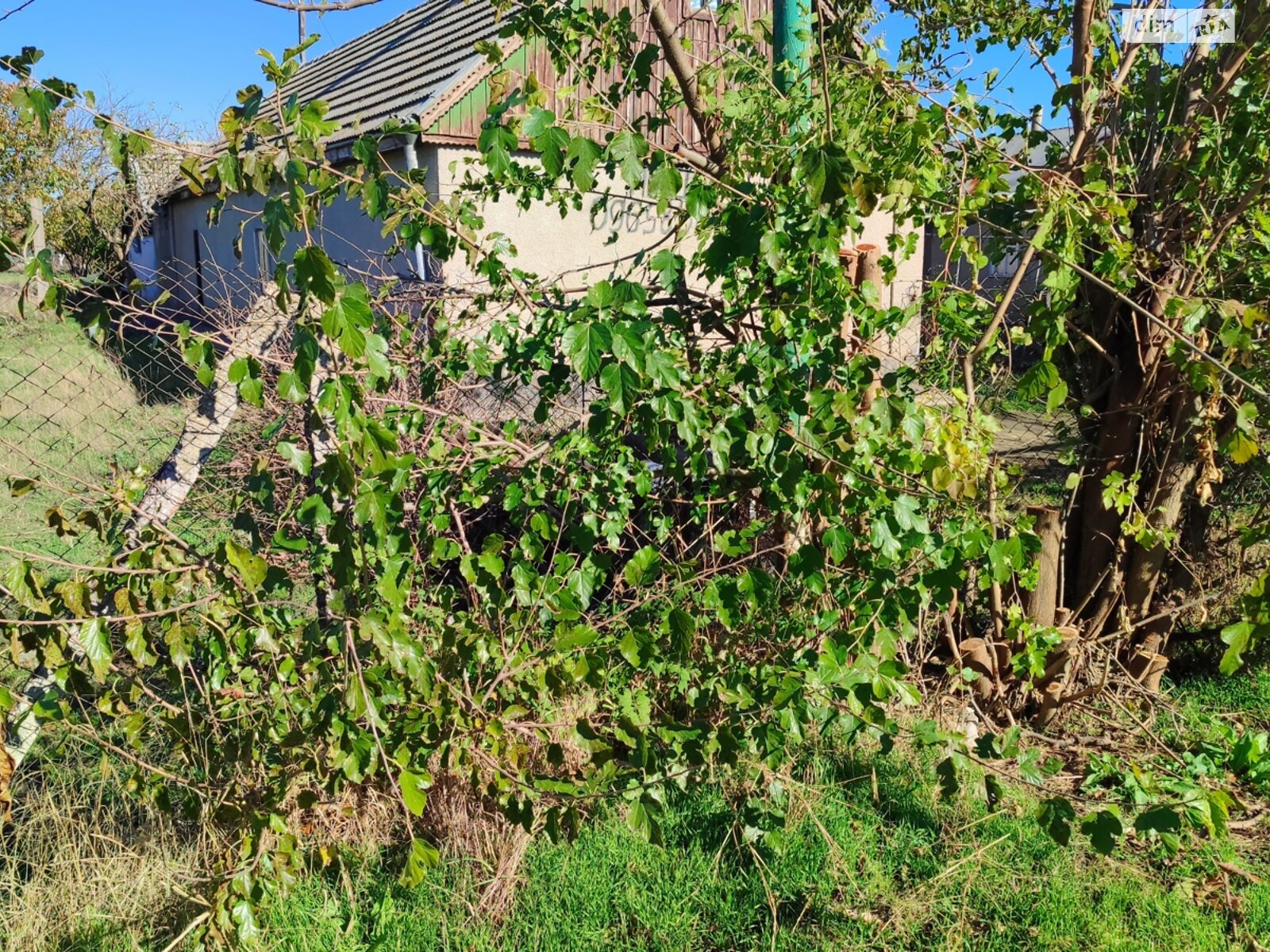 Земельный участок под жилую застройку в Каролине-Бугазе, площадь 25 соток фото 1 Земельный участок под жилую застройку в Каролине-Бугазе, площадь 25 соток фото 1