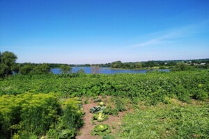 Земельна ділянка під житлову забудову в Карпівцях, площа 37 соток фото 2