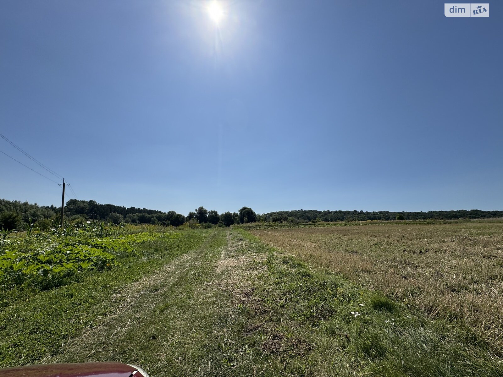 Земельна ділянка під житлову забудову в Карпівцях, площа 11 соток фото 1