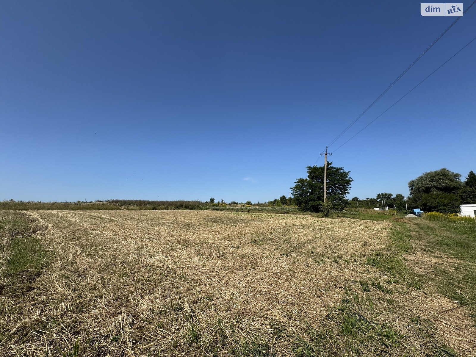 Земельна ділянка під житлову забудову в Карпівцях, площа 11 соток фото 1