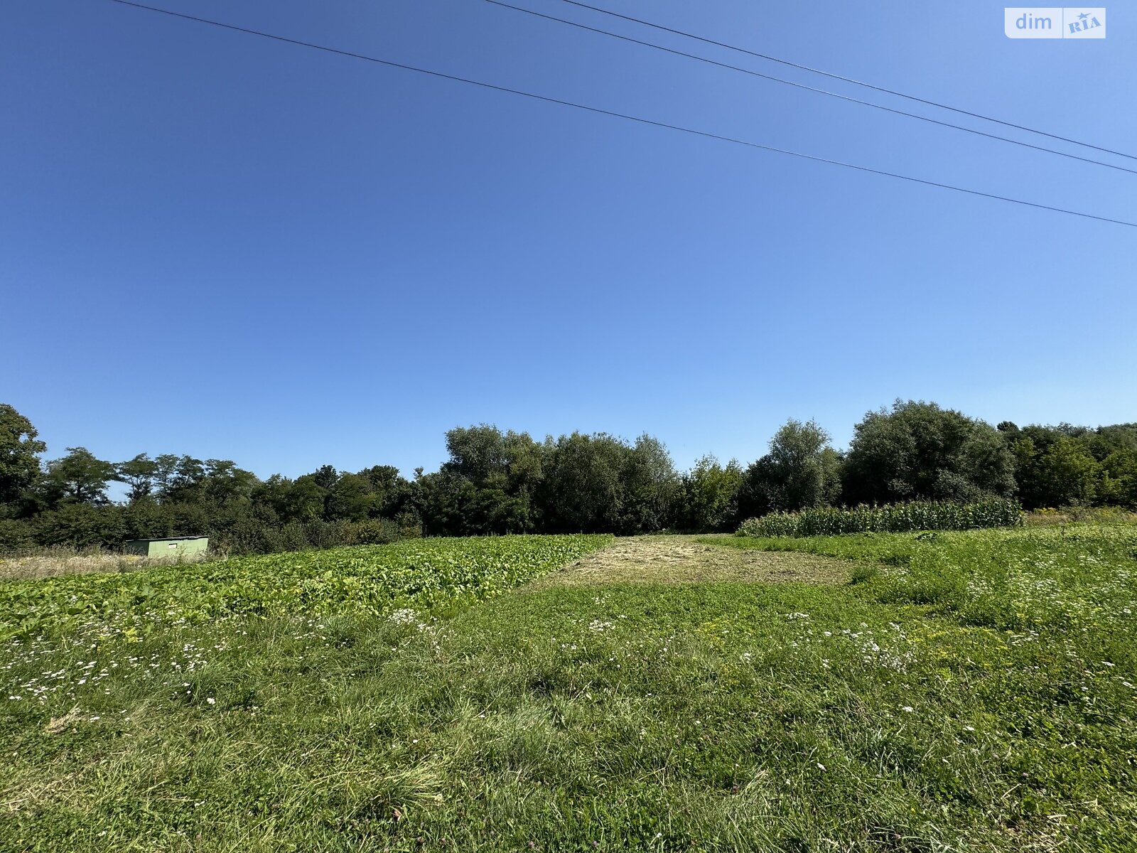 Земельна ділянка під житлову забудову в Карпівцях, площа 11 соток фото 1