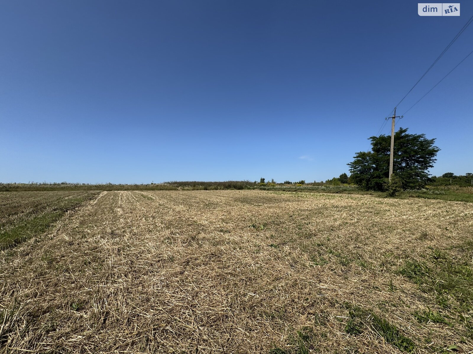 Земельна ділянка під житлову забудову в Карпівцях, площа 11 соток фото 1