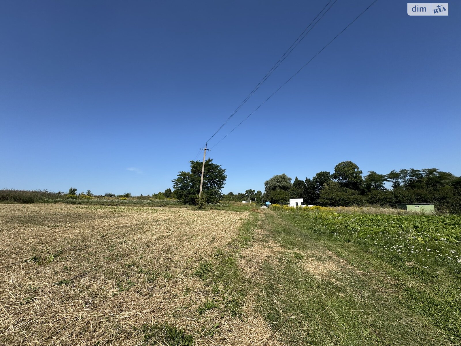 Земельна ділянка під житлову забудову в Карпівцях, площа 11 соток фото 1