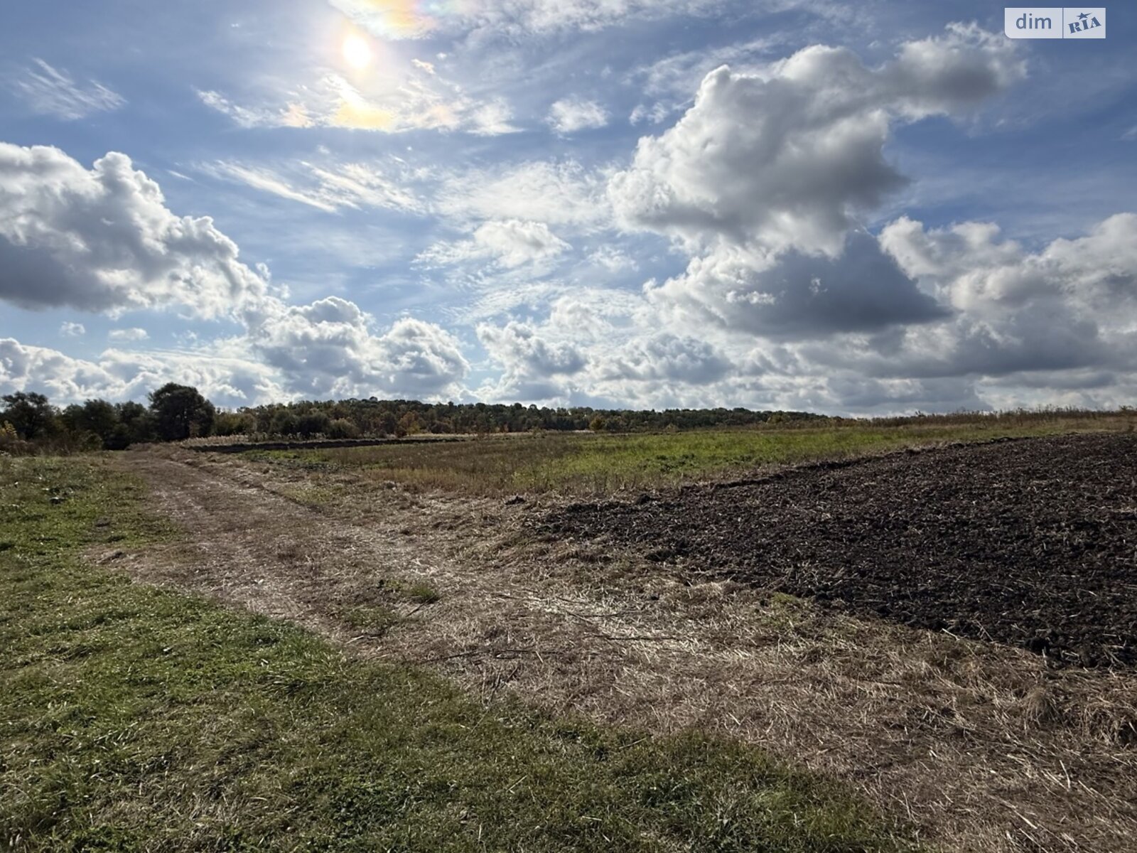 Земельна ділянка під житлову забудову в Карпівцях, площа 11 соток фото 1 Земельна ділянка під житлову забудову в Карпівцях, площа 11 соток фото 1