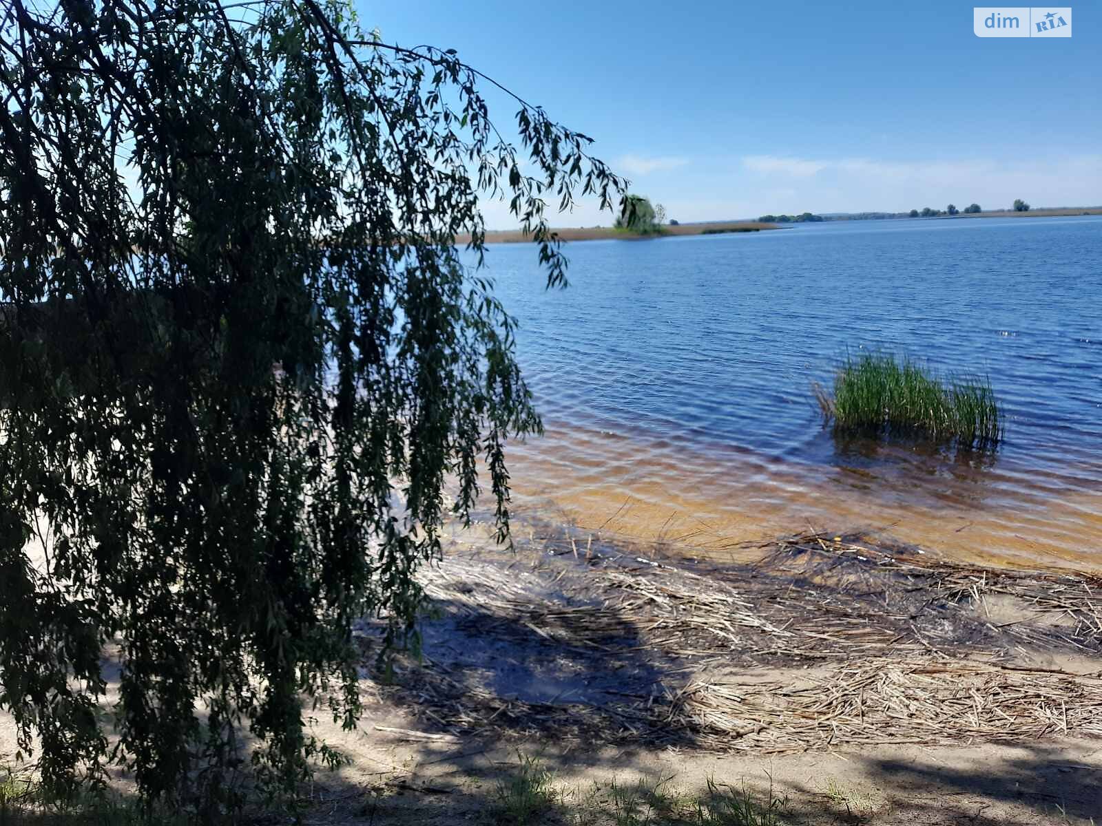 Земельна ділянка під житлову забудову в Кединій Горі, площа 31 сотка фото 1