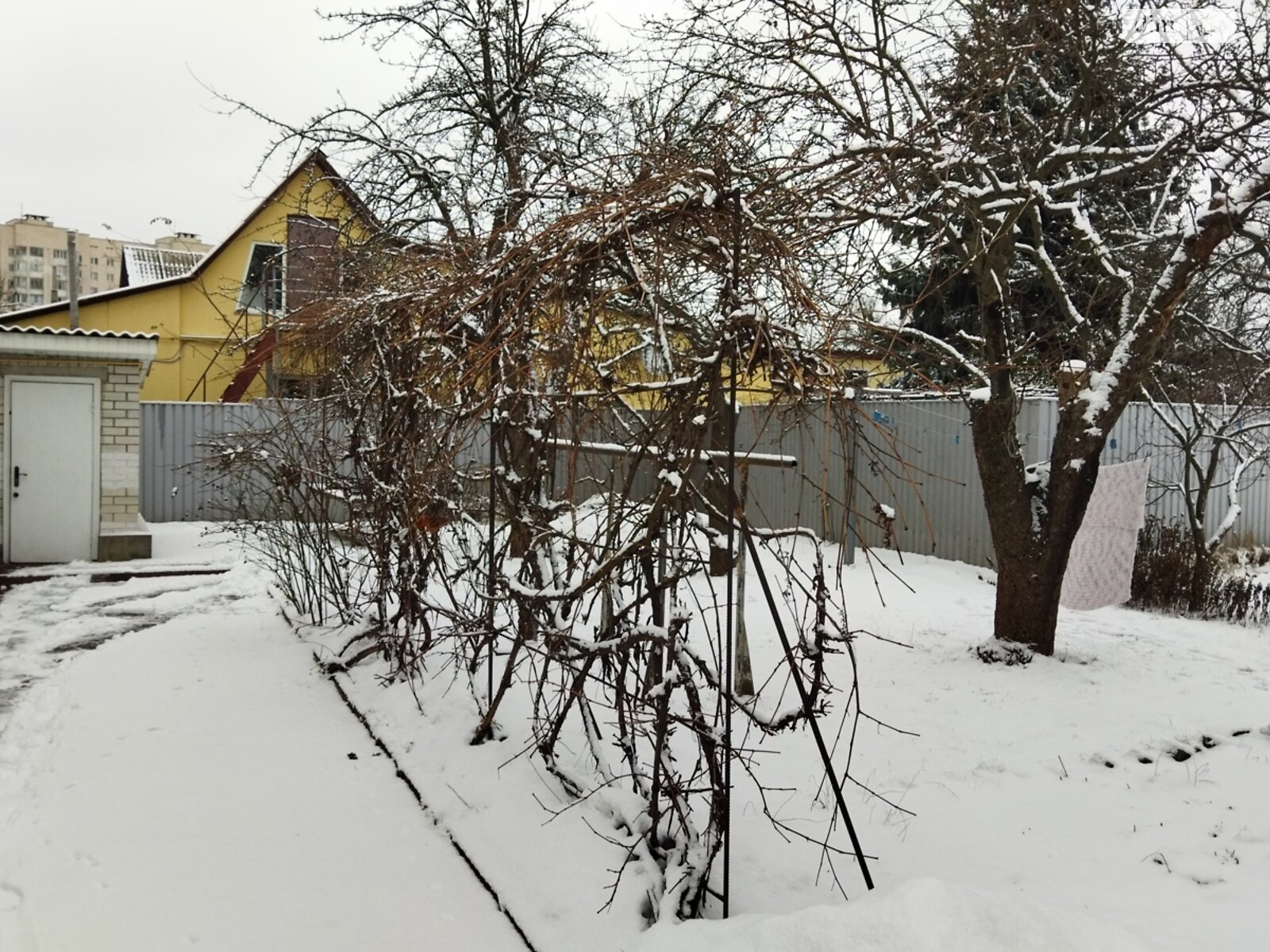 Земля під житлову забудову в Києві, район Академмістечко, площа 10 соток фото 1