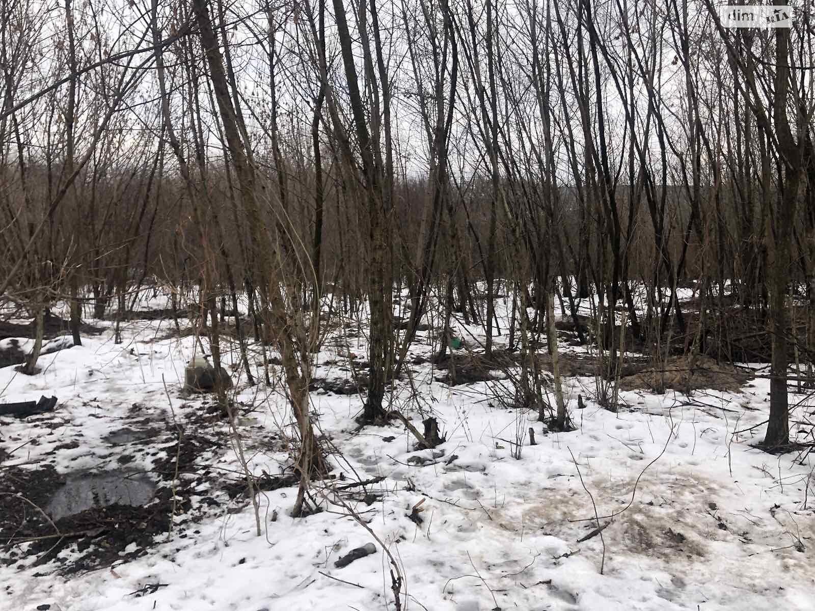 Земля під житлову забудову в Києві, район Багринова гора, площа 10 соток фото 1