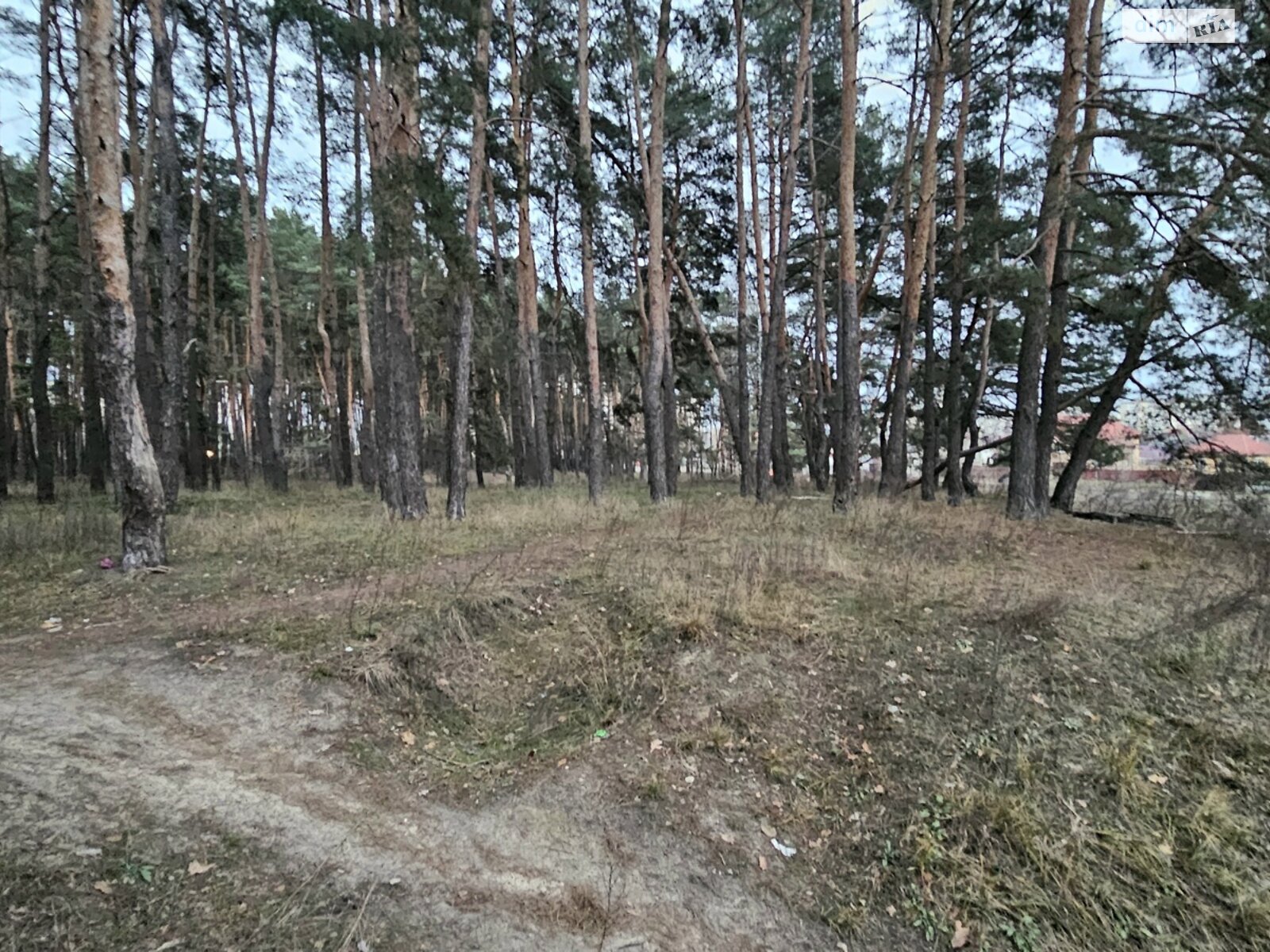 Земля под жилую застройку в Киеве, район Беличи, площадь 10 соток фото 1