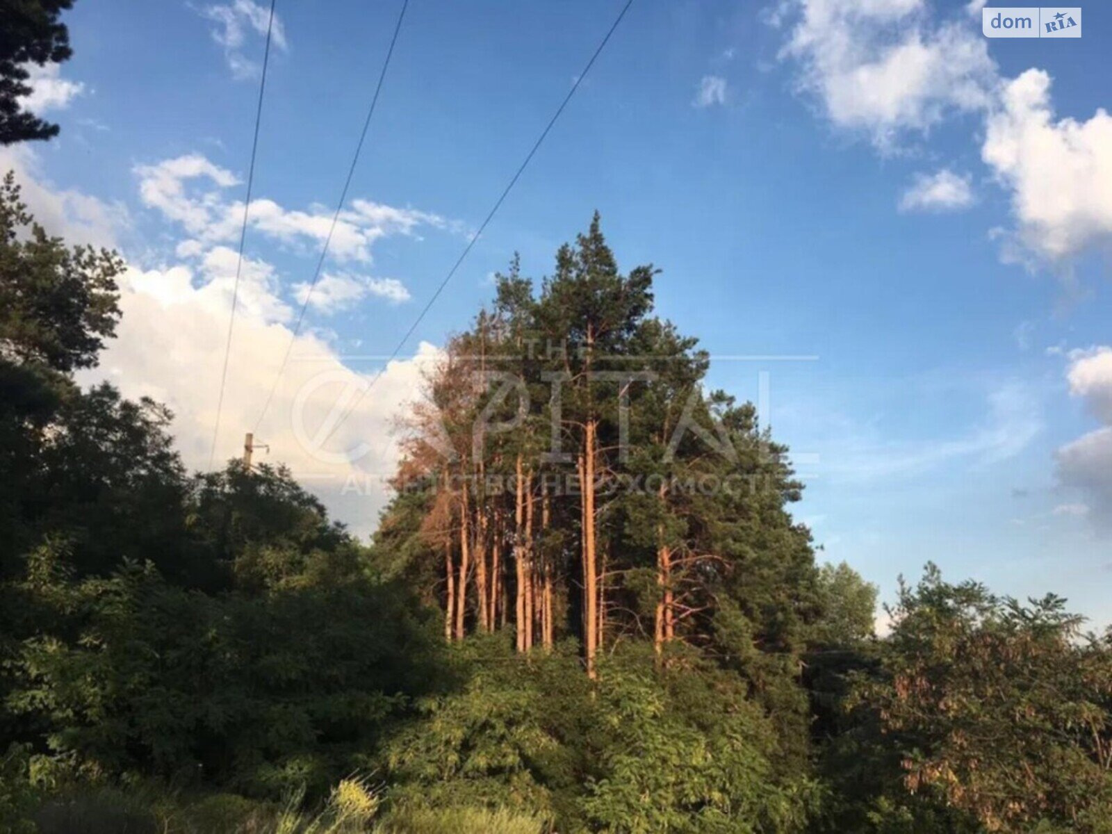 Земля под жилую застройку в Киеве, район Бортничи, площадь 20 соток фото 1 Земля под жилую застройку в Киеве, район Бортничи, площадь 20 соток фото 1