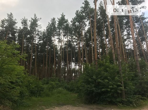 Земля под жилую застройку в селе Бортничи, площадь 30 соток фото 1 Земля под жилую застройку в селе Бортничи, площадь 30 соток фото 1