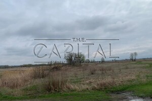 Земля під житлову забудову в Києві, район Бортничі, площа 160 соток фото 2 Земля під житлову забудову в Києві, район Бортничі, площа 160 соток фото 2