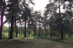 Земля під житлову забудову в Києві, район Бортничі, площа 12 соток фото 2