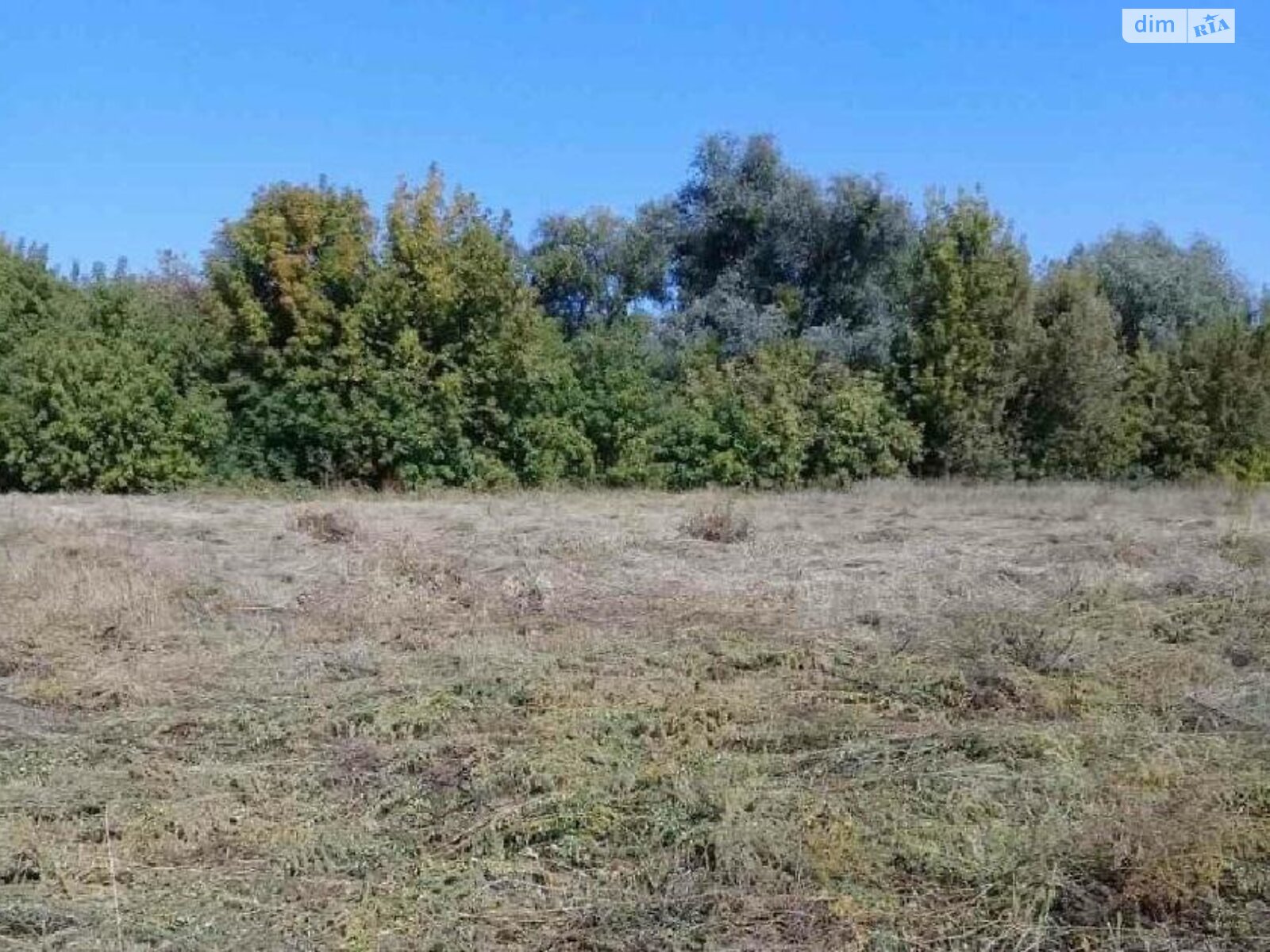 Земля под жилую застройку в Киеве, район Бортничи, площадь 10 соток фото 1 Земля под жилую застройку в Киеве, район Бортничи, площадь 10 соток фото 1