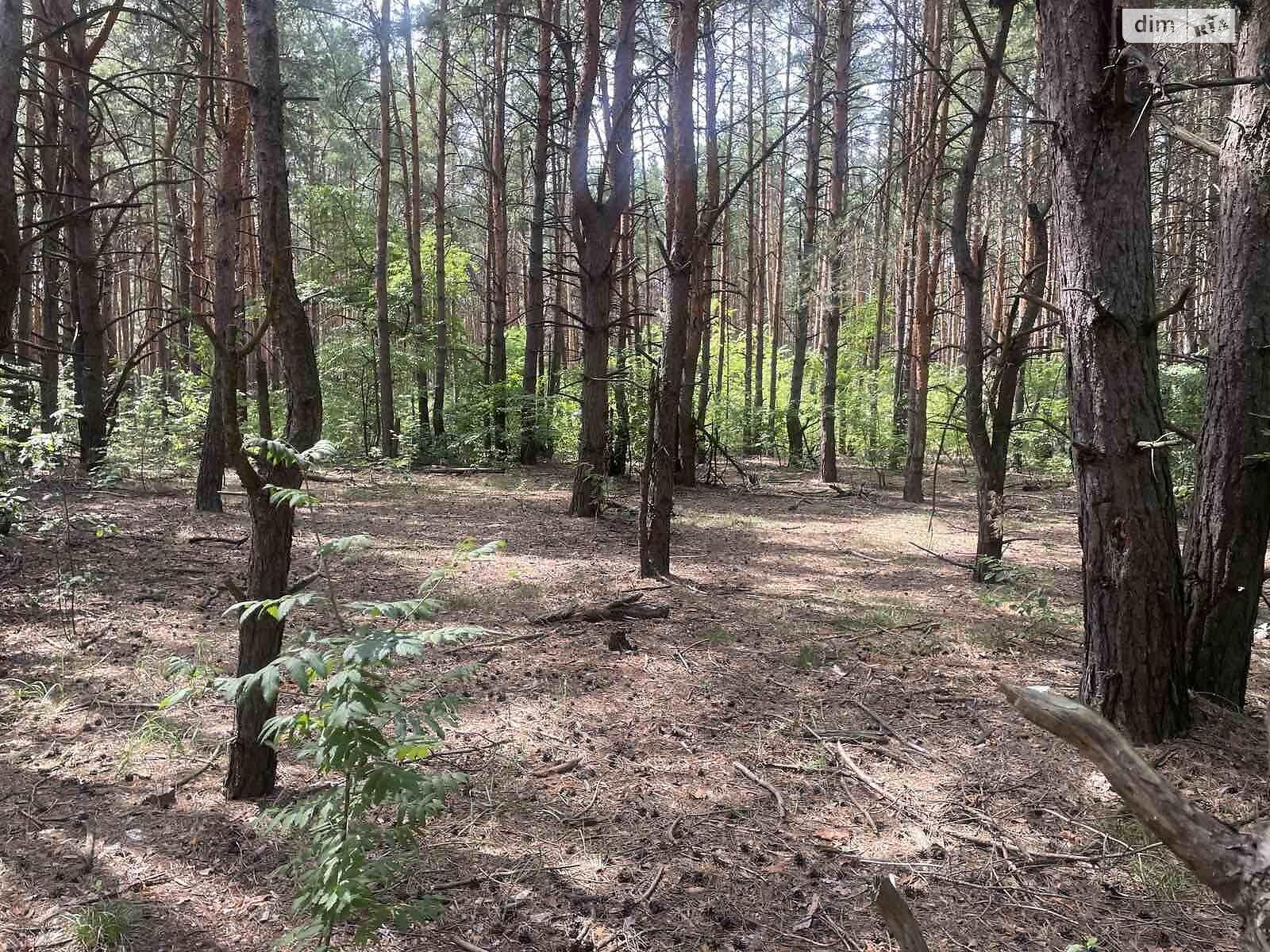 Земля під житлову забудову в Києві, район Биківня, площа 10 соток фото 1