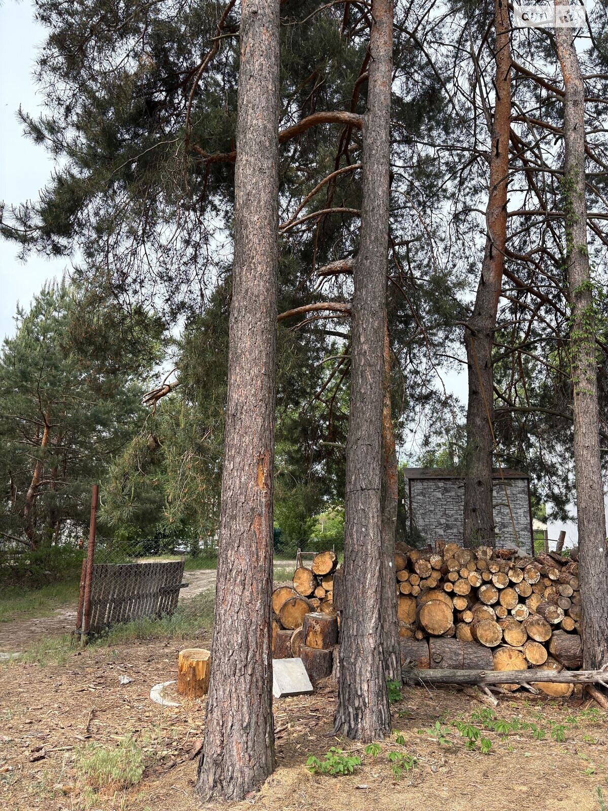 Земля під житлову забудову в Києві, район Биківня, площа 10 соток фото 1