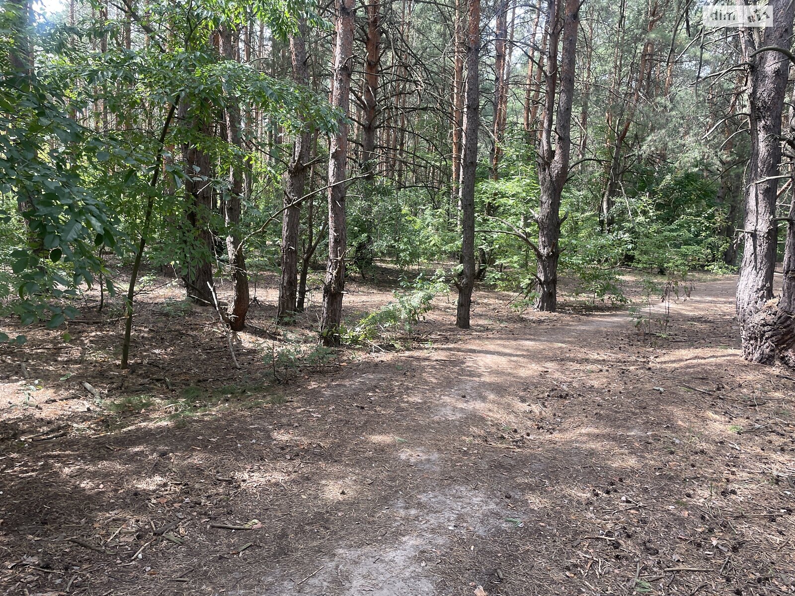 Земля під житлову забудову в Києві, район Биківня, площа 10 соток фото 1