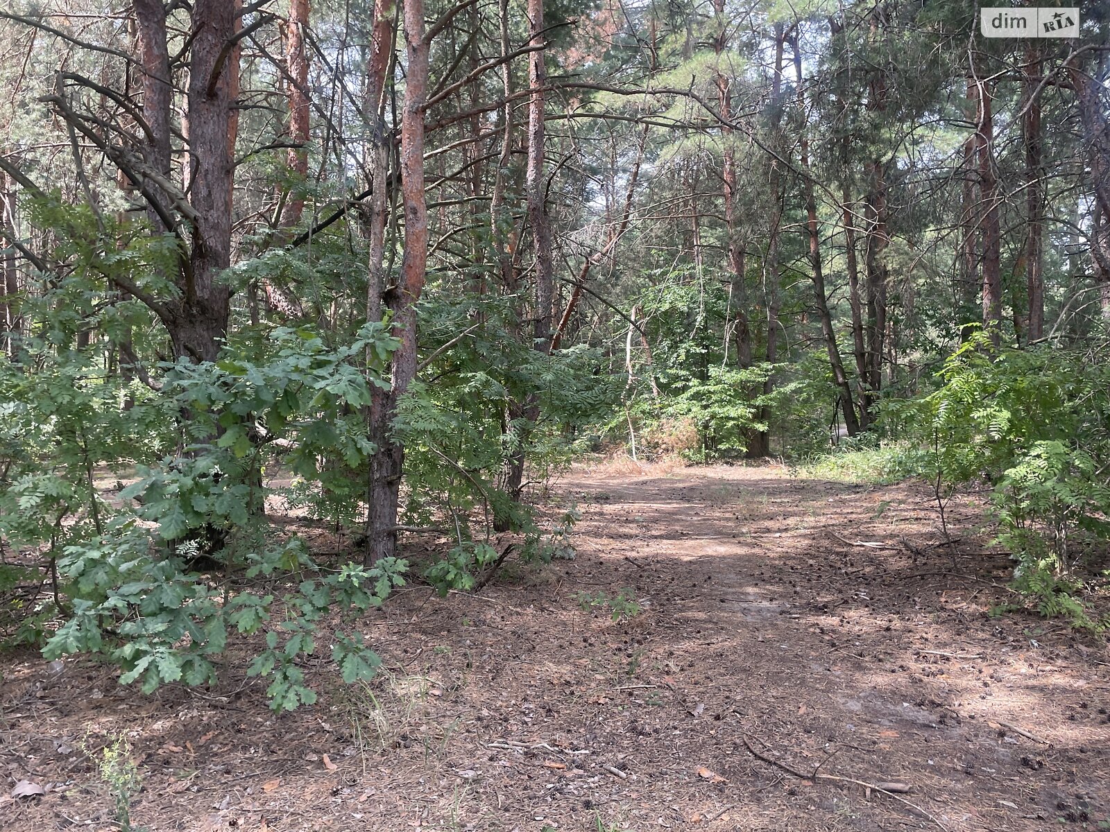 Земля під житлову забудову в Києві, район Биківня, площа 10 соток фото 1