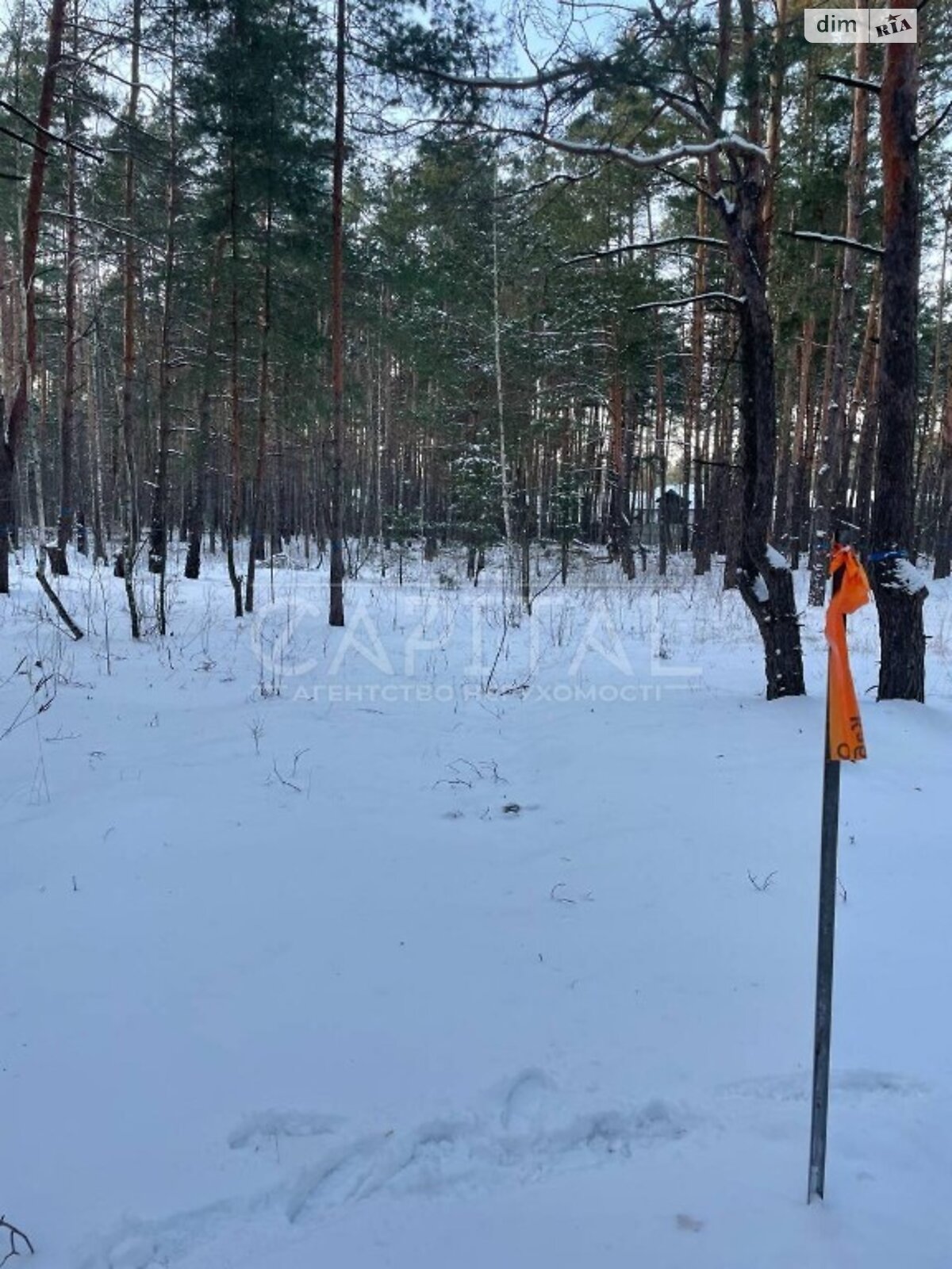 Земля під житлову забудову в Києві, район Биківня, площа 20 соток фото 1