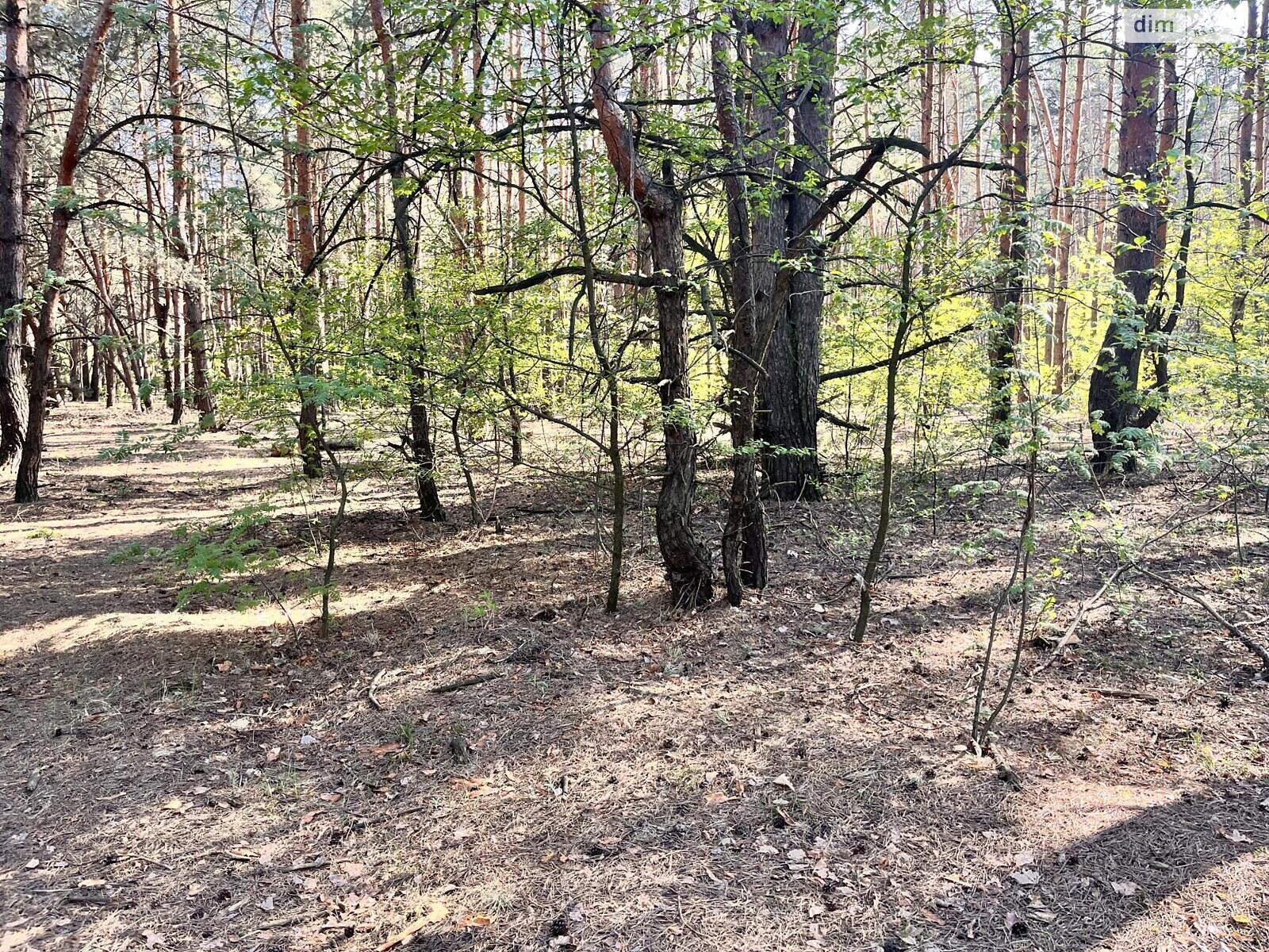 Земля под жилую застройку в Киеве, район Быковня, площадь 10 соток фото 1 Земля под жилую застройку в Киеве, район Быковня, площадь 10 соток фото 1