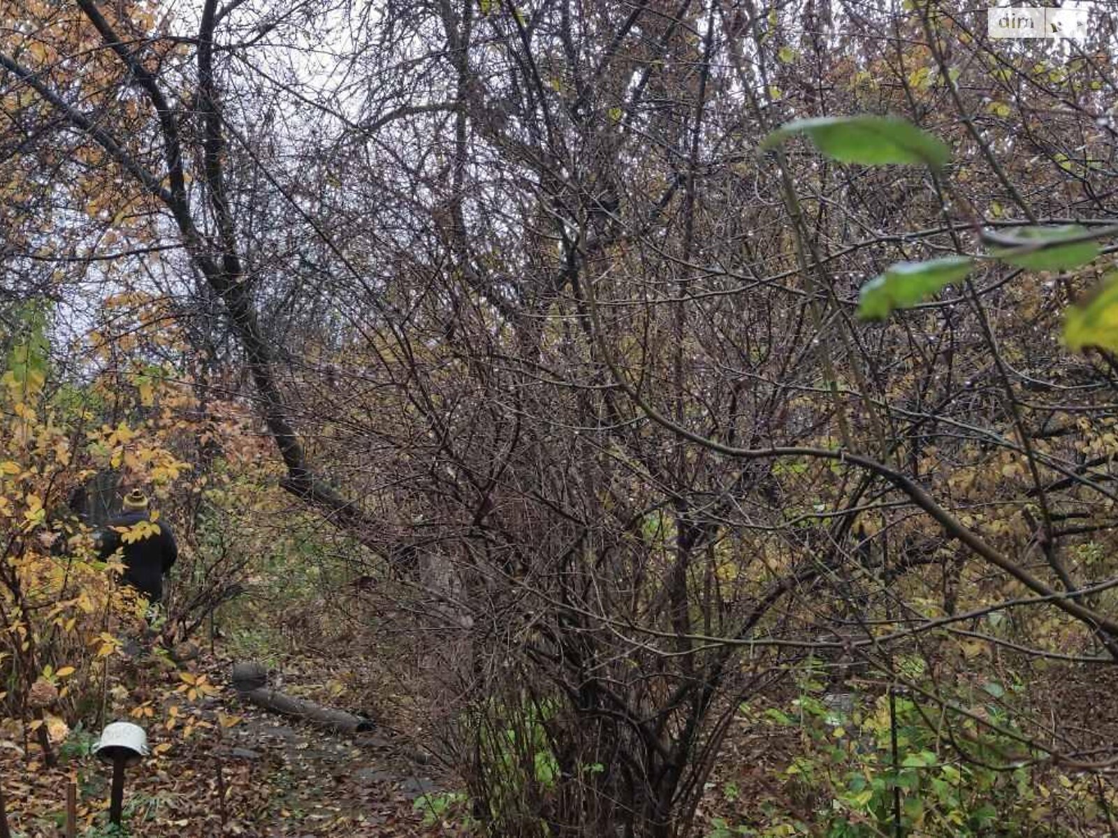 Земля під житлову забудову в Києві, район Чорна Гора, площа 10 соток фото 1