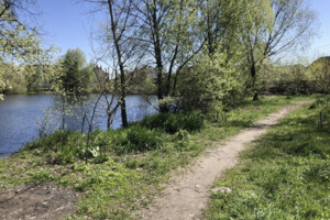 Земля під житлову забудову в Києві, район Дарницький, площа 12 соток фото 2