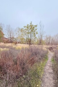 Земля под жилую застройку в Киеве, район Деснянский, площадь 8 соток фото 2 Земля под жилую застройку в Киеве, район Деснянский, площадь 8 соток фото 2