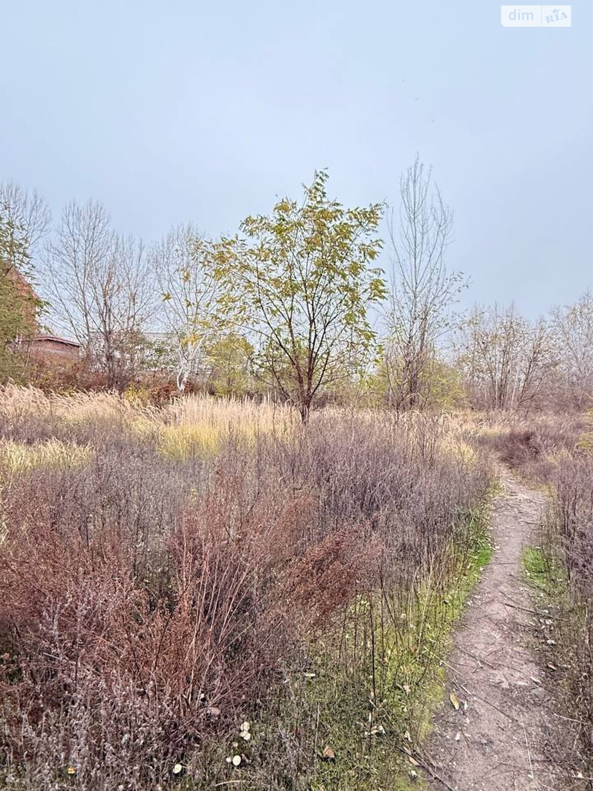 Земля под жилую застройку в Киеве, район Деснянский, площадь 8 соток фото 1 Земля под жилую застройку в Киеве, район Деснянский, площадь 8 соток фото 1