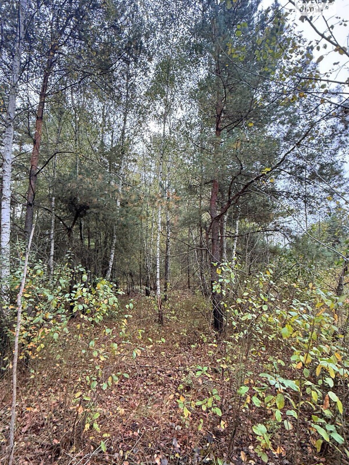 Земля под жилую застройку в Киеве, район Деснянский, площадь 8 соток фото 1 Земля под жилую застройку в Киеве, район Деснянский, площадь 8 соток фото 1