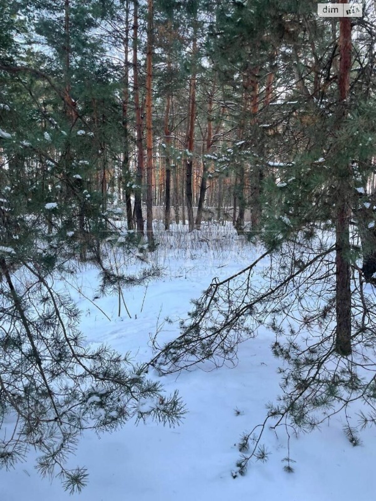 Земля под жилую застройку в Киеве, район Деснянский, площадь 20 соток фото 1