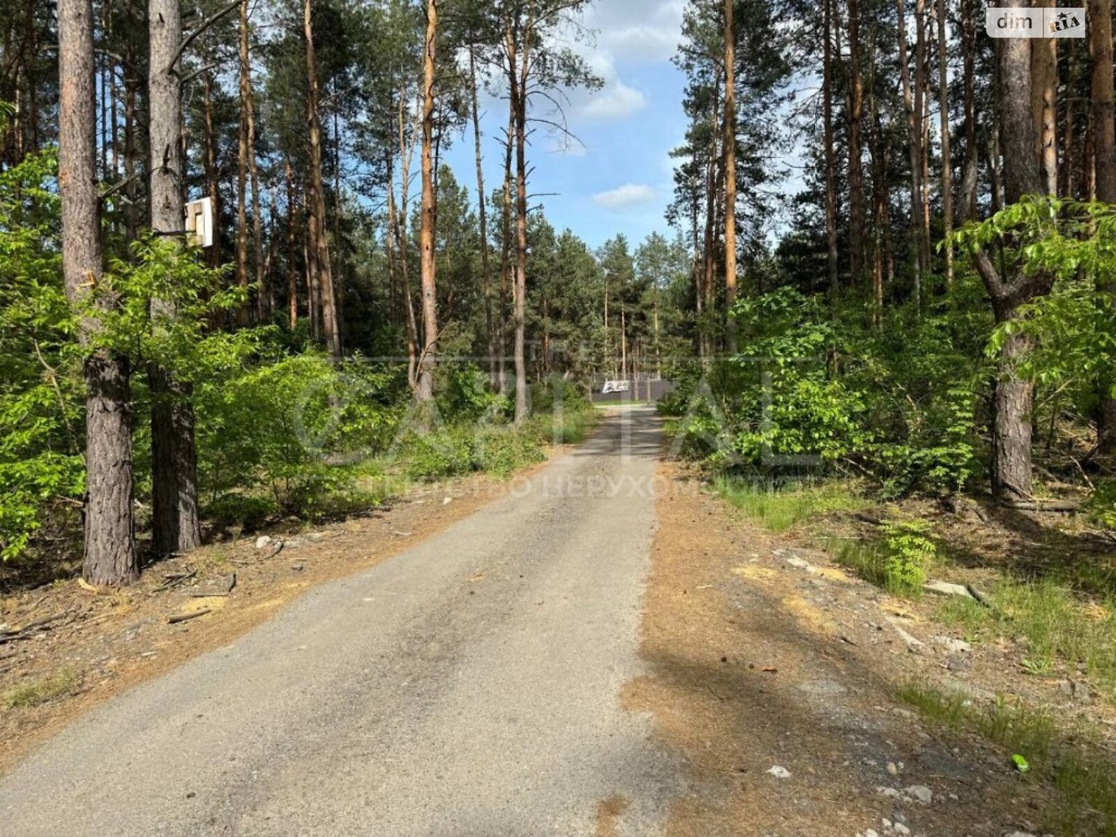 Земля під житлову забудову в Києві, район Деснянський, площа 20 соток фото 1