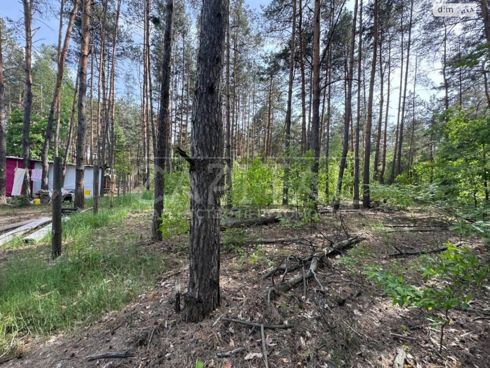 Земля під житлову забудову в Києві, район Деснянський, площа 20 соток фото 1