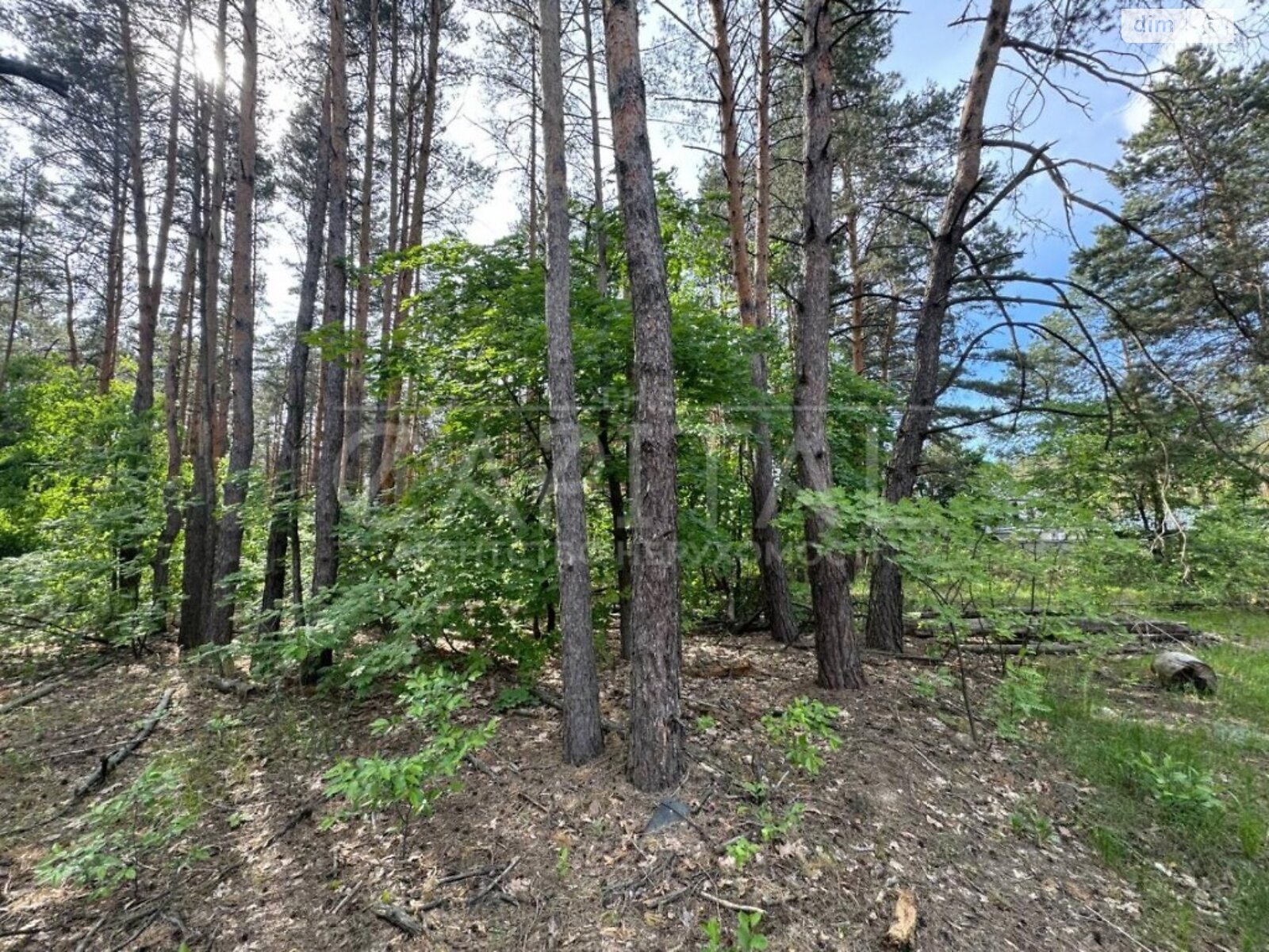 Земля під житлову забудову в Києві, район Деснянський, площа 20 соток фото 1