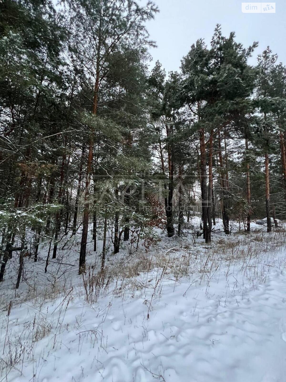 Земля під житлову забудову в Києві, район Деснянський, площа 20 соток фото 1