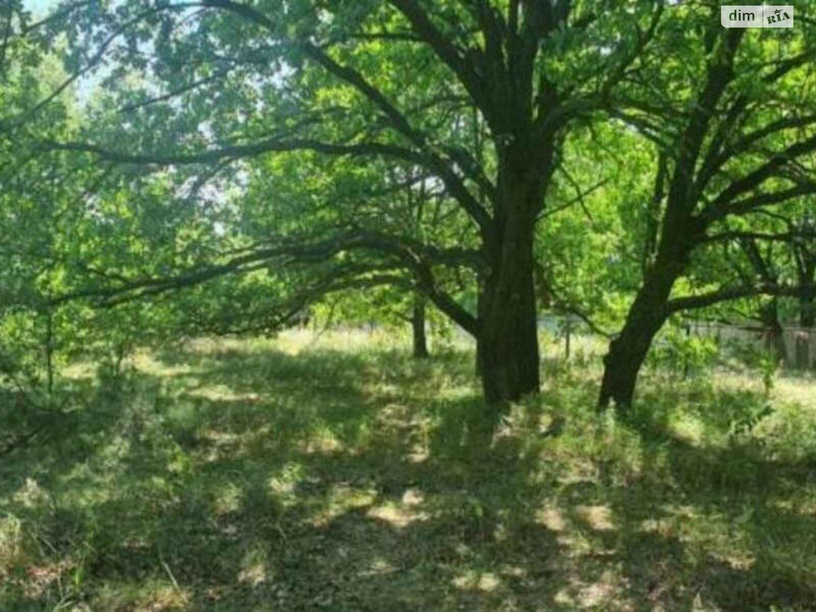 Земля під житлову забудову в Києві, район Голосіїв, площа 10 соток фото 1