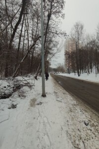 Земля под жилую застройку в Киеве, район Голосеевский, площадь 19 соток фото 2